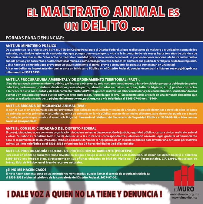 4-NUEVA REFORMA A LA LEY DE PROTECCIÓN ANIMAL EN EL .